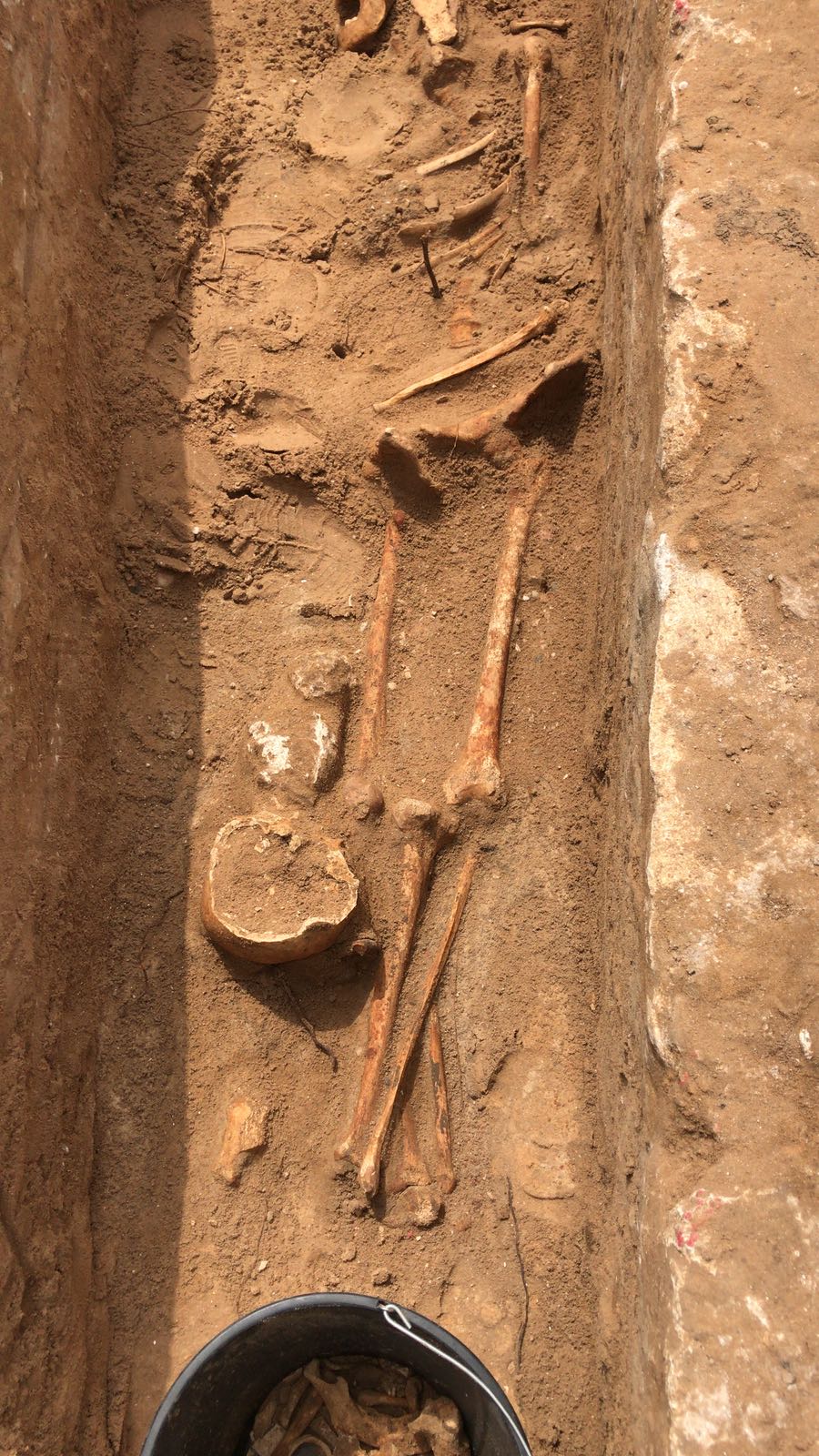 WhatsApp Image 2020-06-17 at 9.30.53 AM.jpeg.jpeg